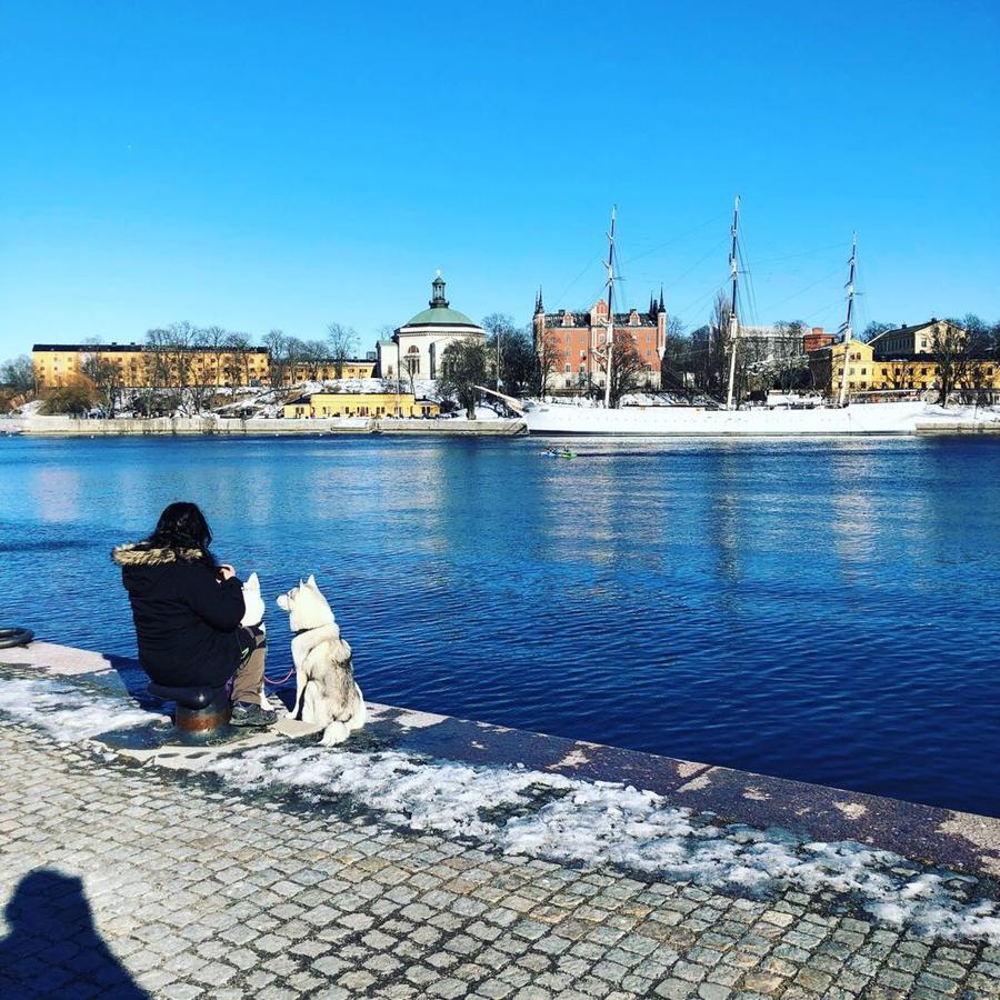 Dockside Hostel Stockholm Luaran gambar